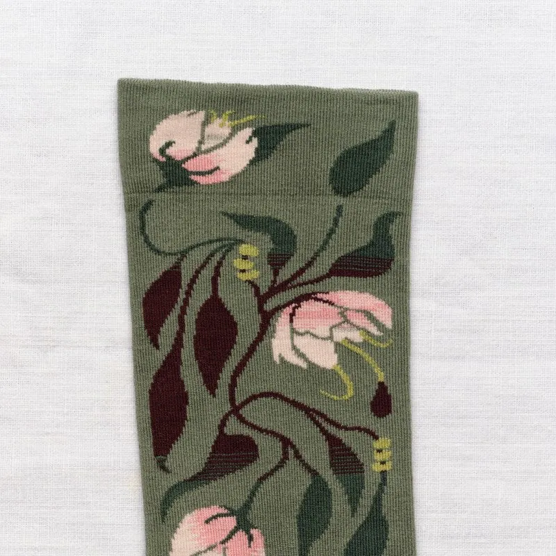 Socks - Philadelphus Cedar